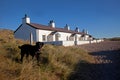 Old Coastguard Cottages Royalty Free Stock Photo