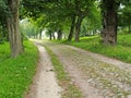 Old cobbled road of the German construction. Primorsk, Kaliningrad region
