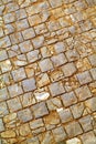 Old cobblestone pavement Royalty Free Stock Photo