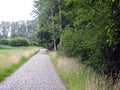 Old cobblestone road in forest. Royalty Free Stock Photo