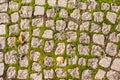 Old cobblestone road with grass between stones. Texture and background Royalty Free Stock Photo