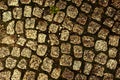 Old cobblestone road with grass between stones. Texture and background Royalty Free Stock Photo