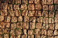 Old cobblestone road. Texture and background Royalty Free Stock Photo