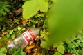 Old Coca cola bottle in the forest. Plastic recycling, pollution and global warming theme.
