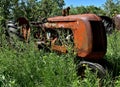 Old Cockshutt tractor buried in the weeds Royalty Free Stock Photo