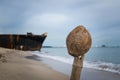 Old coconut on the beach Royalty Free Stock Photo