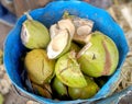 Old coconuts thrown away into box Royalty Free Stock Photo