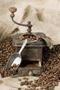 Old coffee grinder with coffee beans Royalty Free Stock Photo