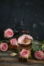 Old coffee grinders and fresh roses with copy space for your text. Royalty Free Stock Photo