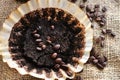 Old Coffee Grounds and Coffee Filter