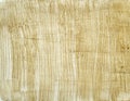 Coffee stained paper texture