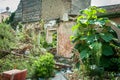 Old collapsed ruin and abandoned house in the jungle overgrown with green plants after ages