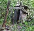 An old collapsed wooden building in a forest