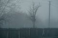 old collapsed wooden fence in the fog