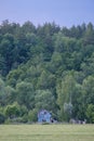 old collapsed wooden house against the background of the forest