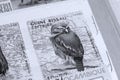 Postage stamps, Guine-Bissau wild animals, Bird