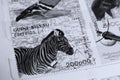 Postage stamps, Guine-Bissau wild animals, Zebra Royalty Free Stock Photo