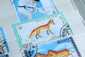 Postage stamps, Mongolia animals, fox