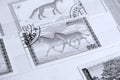 Postage stamps, Mongolia animals, fox and horses
