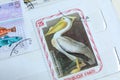 Postage stamps, Pelican Royalty Free Stock Photo