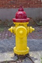 Old colored fire hydrant Royalty Free Stock Photo