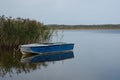 An old colorful boat with shabby beautiful blue paint stands on the shore of a quiet lake with dense thickets of reeds.