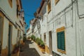 Old colorful houses in a deserted alley at Elvas Royalty Free Stock Photo