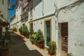 Old colorful houses in a deserted alley at Elvas Royalty Free Stock Photo