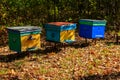 Old colorful wooden beehives in forest glade at autumn Royalty Free Stock Photo