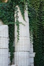 Old columns with curly green plants