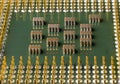 Old computer processor with gold-plated legs, microcircuits on it Royalty Free Stock Photo