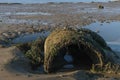 Old concrete circular pipe on the beach near port. Big abandoned concrete tube made Royalty Free Stock Photo