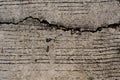 Old concrete crack Royalty Free Stock Photo