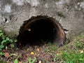 Old concrete drainage pipe in ditch Royalty Free Stock Photo