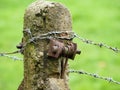 old concrete fence post wrapped with barbed wire Royalty Free Stock Photo