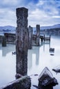 Old Concrete Jetty Posts, Governors Bay, Banks Peninsula, New Ze