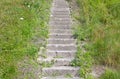 Old concrete overgrown with grass stairs Royalty Free Stock Photo