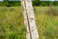Old concrete pillar. The destruction of concrete over time. Royalty Free Stock Photo