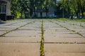 Old concrete slabs of which the road was made in the park, through the sutures the grass grew, a closeup of the old collapsing