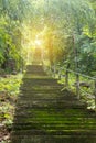 Old concrete staircase on the hillside forest. Royalty Free Stock Photo