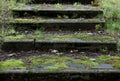 Old concrete stairs overgrown with grass in Nida Lithuania Royalty Free Stock Photo