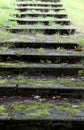 Old concrete stairs overgrown with grass in Nida Lithuania Royalty Free Stock Photo