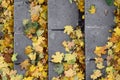 Old concrete steps, strewn with a lot of yellowing fallen autumn leave Royalty Free Stock Photo