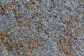 Old concrete wall corrosion Royalty Free Stock Photo