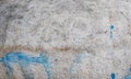 Old concrete wall with splash of blue paint markings background texture