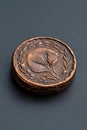An old copper coin with a plant design. Royalty Free Stock Photo