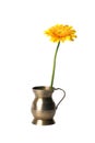 Old copper pitcher with flower Royalty Free Stock Photo