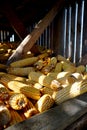 Old Corn Cribs in Wooden Barn, Traditional Corn Harvest in Autumn in Boljanic, Doboj, Bosnia Herzegovina, Wooden Balkan Corn Barn Royalty Free Stock Photo