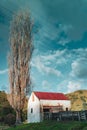 Old corrugated iron farm building and yard with tall leafless birch tree buildings Royalty Free Stock Photo