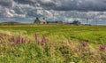 Old Cottage and Hedgerows, Ireland Royalty Free Stock Photo